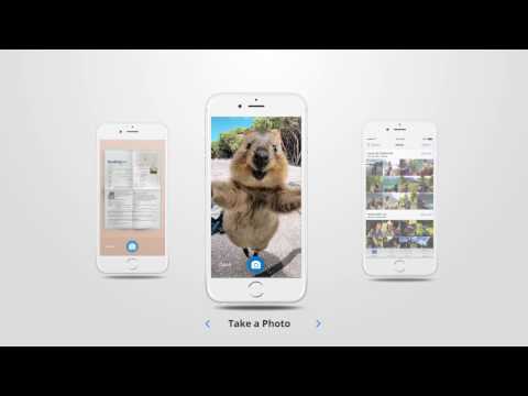 Quokky 3.0 - File sharing